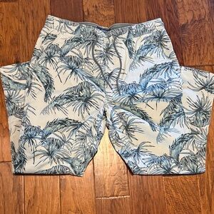 American Rag Sage Green Casual Shorts